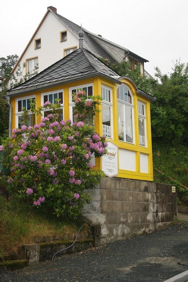 Pension Fuerstenhof Бад-Эльстер Экстерьер фото